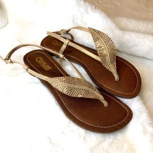 Stylish summer sandals